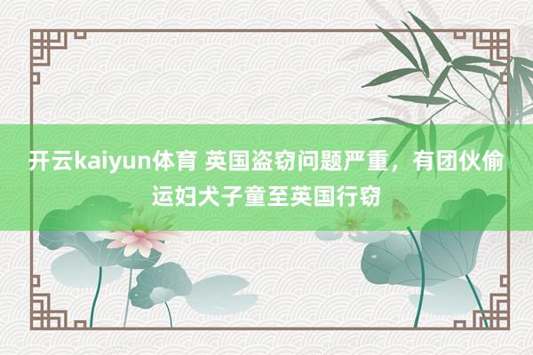 开云kaiyun体育 英国盗窃问题严重，有团伙偷运妇犬子童至英国行窃