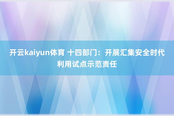 开云kaiyun体育 十四部门：开展汇集安全时代利用试点示范责任