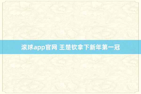 滚球app官网 王楚钦拿下新年第一冠