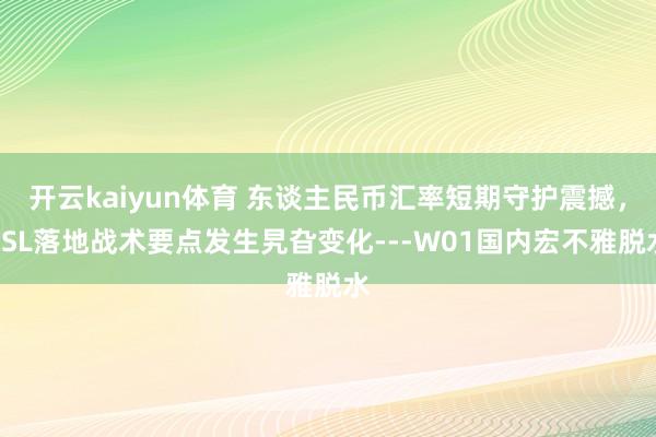 开云kaiyun体育 东谈主民币汇率短期守护震撼，PSL落地战术要点发生旯旮变化---W01国内宏不雅脱水