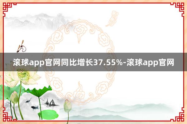 滚球app官网同比增长37.55%-滚球app官网