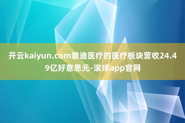 开云kaiyun.com碧迪医疗的医疗板块营收24.49亿好意思元-滚球app官网