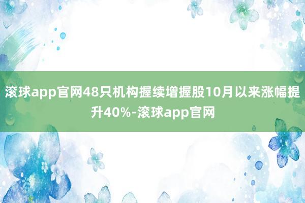 滚球app官网48只机构握续增握股10月以来涨幅提升40%-滚球app官网