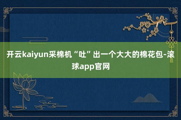 开云kaiyun采棉机“吐”出一个大大的棉花包-滚球app官网