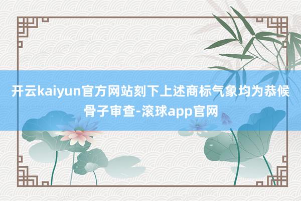 开云kaiyun官方网站刻下上述商标气象均为恭候骨子审查-滚球app官网