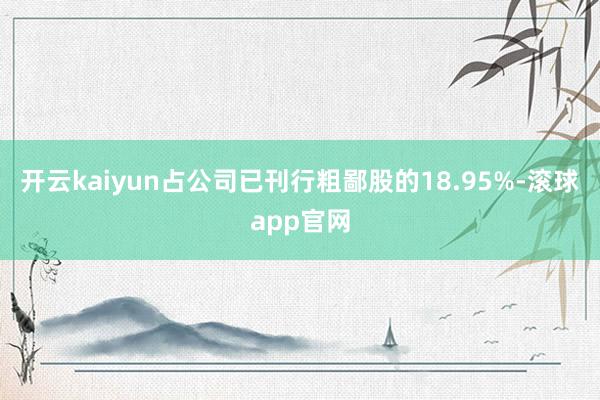 开云kaiyun占公司已刊行粗鄙股的18.95%-滚球app官网