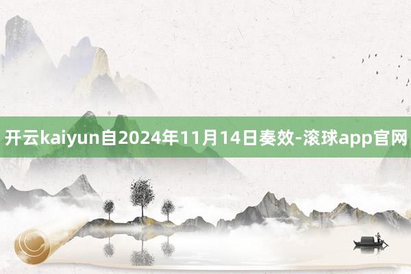 开云kaiyun自2024年11月14日奏效-滚球app官网