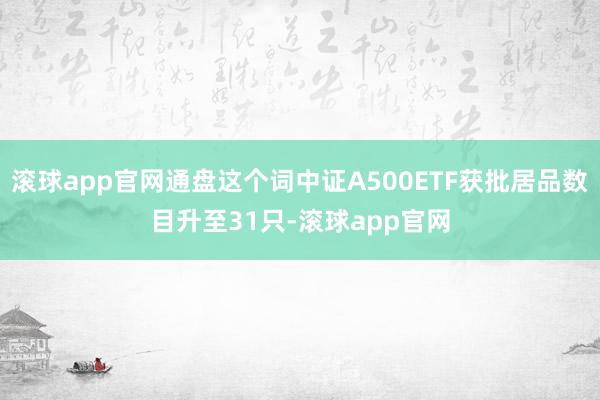 滚球app官网通盘这个词中证A500ETF获批居品数目升至31只-滚球app官网