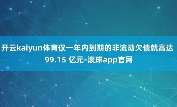 开云kaiyun体育仅一年内到期的非流动欠债就高达 99.15 亿元-滚球app官网